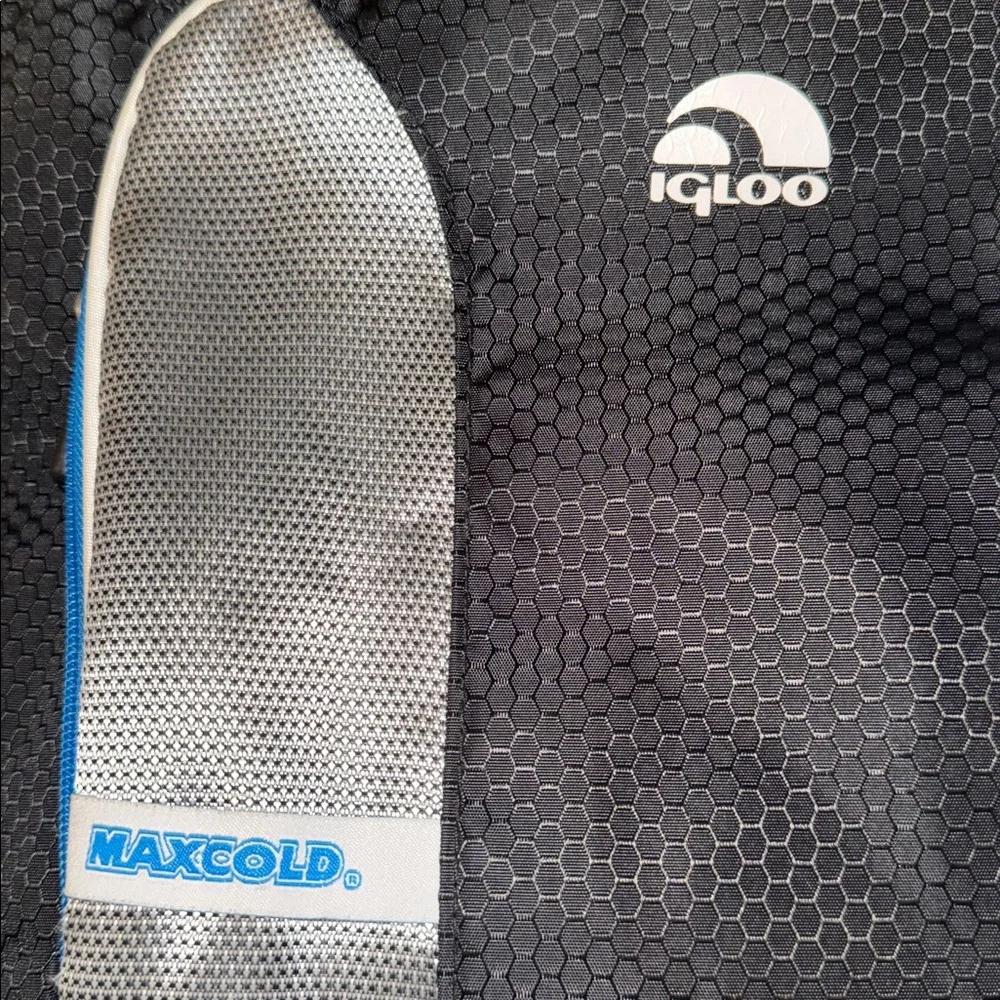 Igloo MaxCold 16-Can Insulated Tote Bag Cooler Lunch Camping Beach - Picture 2 of 6